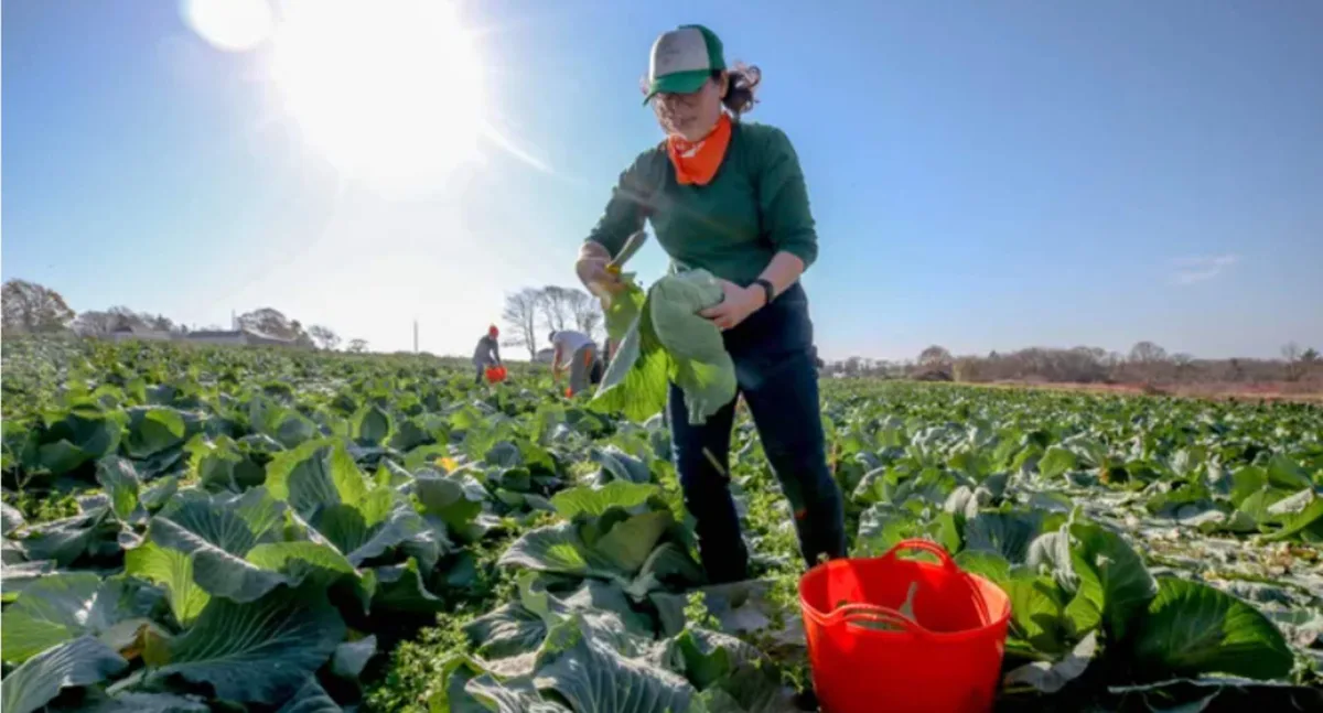 Rhode Island Farm-to-Table Guide 2026: Where to Find Real Food in Johnston, Providence, and Beyond